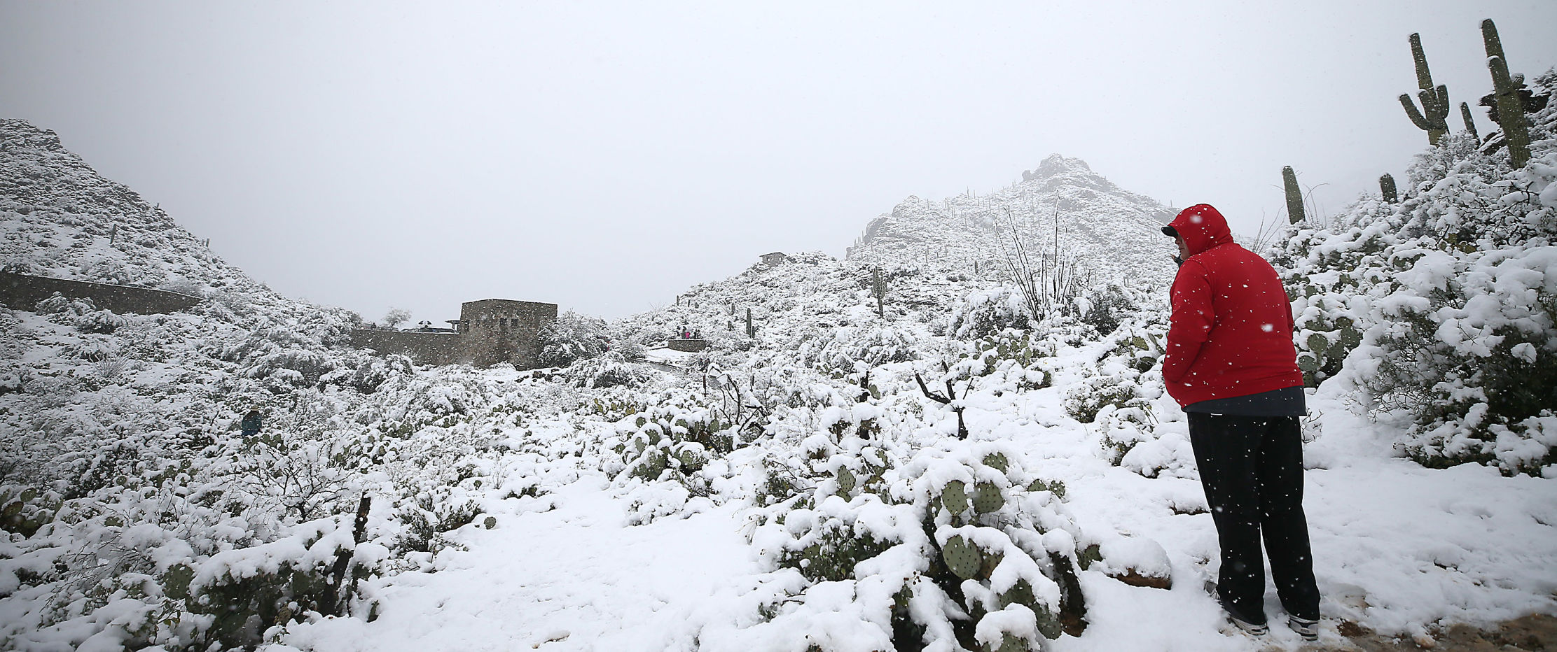 Snow in the Old Pueblo